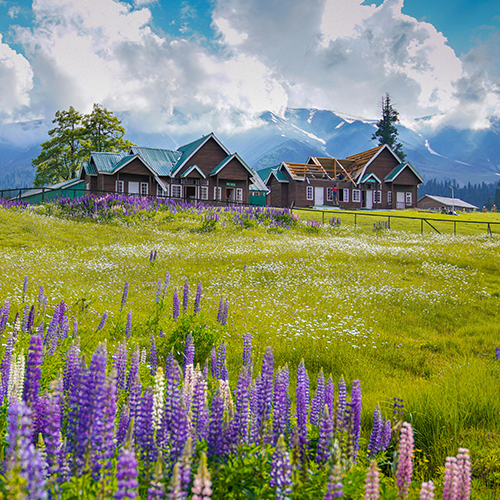 Grand Kashmir
